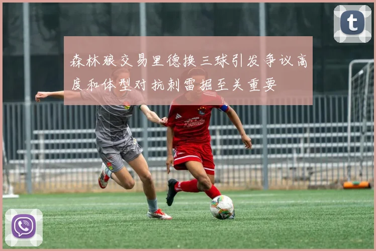 森林狼交易里德换三球引发争议高度和体型对抗刺雷掘至关重要